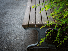 雨のケシキ。