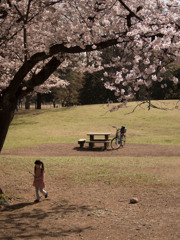 ある春の場面〜あの日のきみ〜