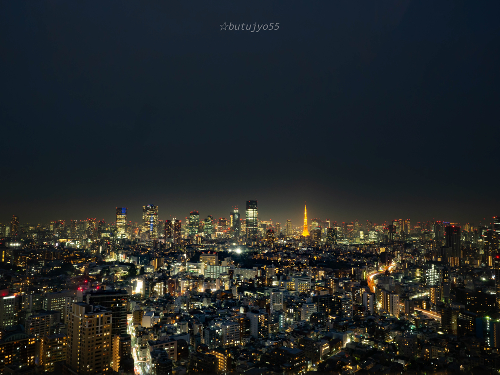 俯瞰で見る東京night