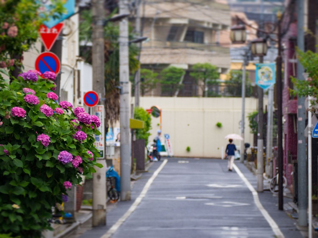 梅雨入り