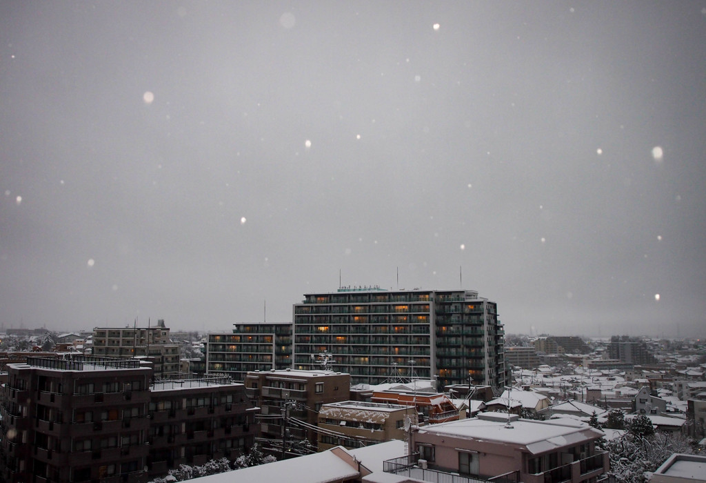 雪の降る街～雪玉ボケ練習～