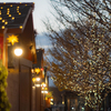 クリスマスの灯りが灯る頃