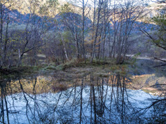 Reflection＠大正池