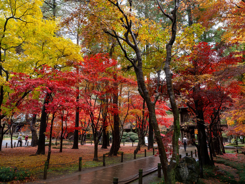 紅い楼閣