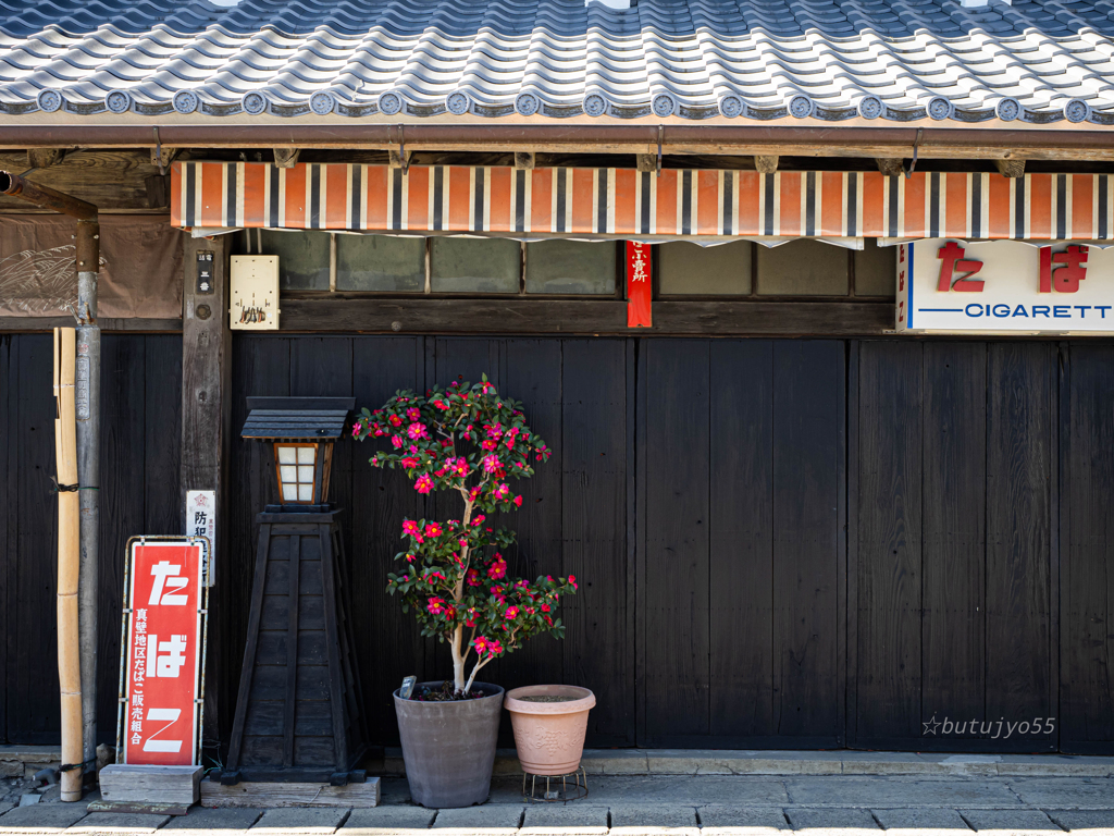 角のたばこ店