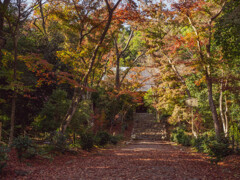 浄住寺晩秋