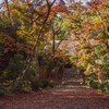 浄住寺晩秋