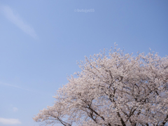 旅立ちとありがとう