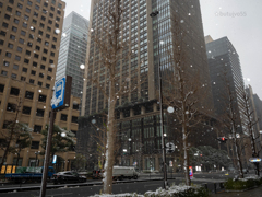 大手町に降る雪
