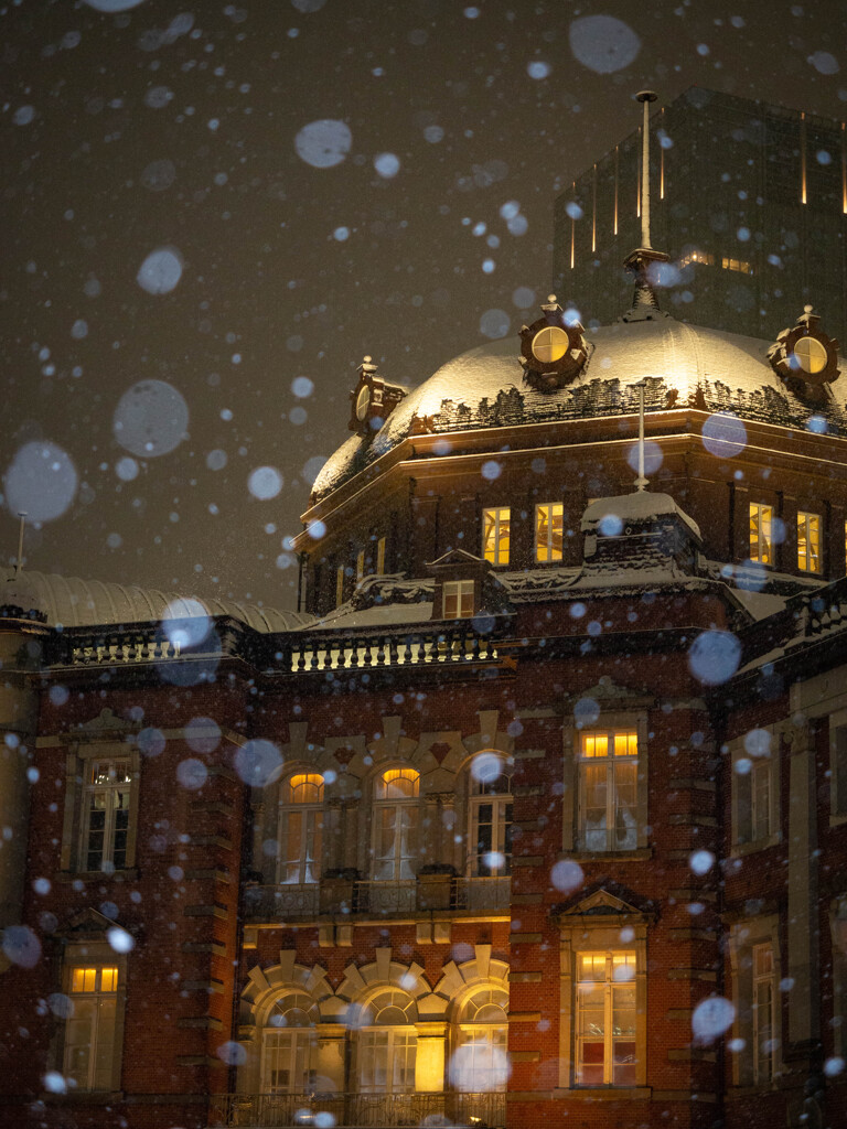 東京に降る雪