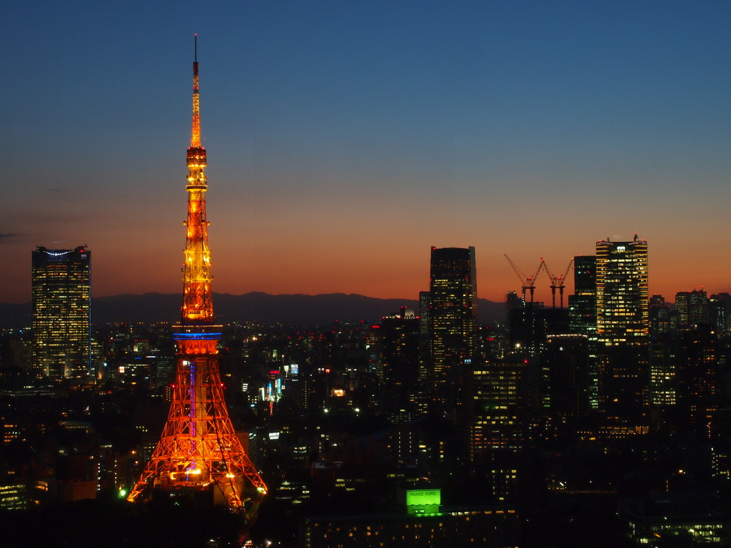 夜景デビューは定番スポットで