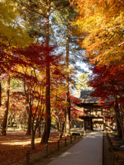 平林寺山門