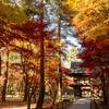 平林寺山門