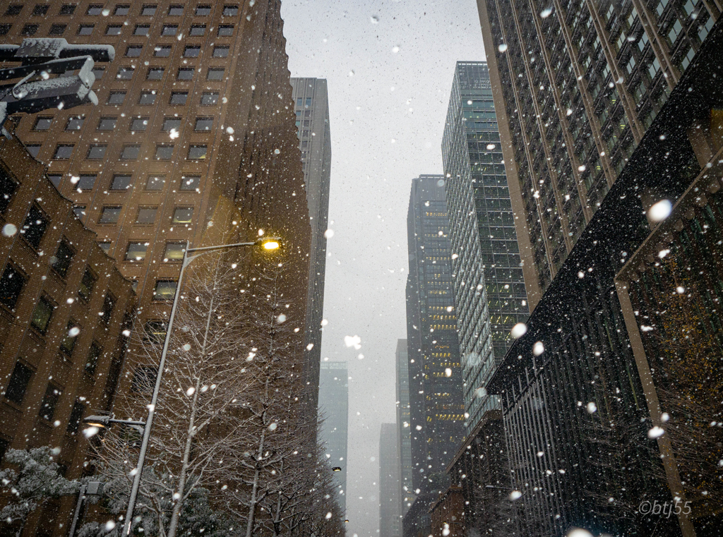 摩天楼に降る雪