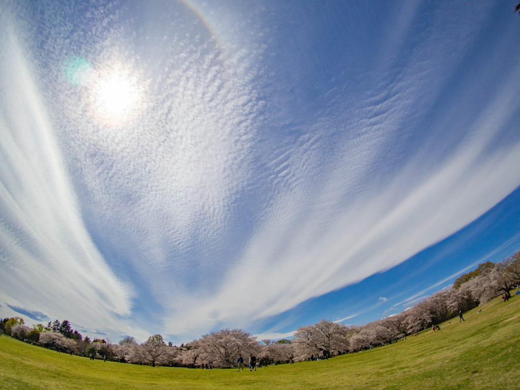空を仰ごう