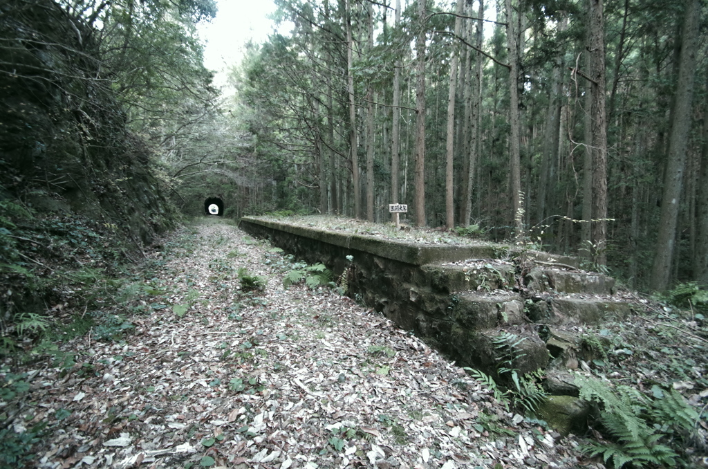 廃線から40年