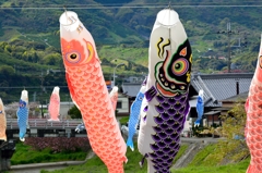鯉のぼり②