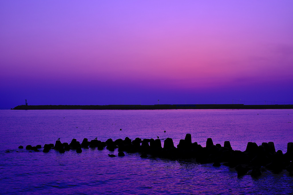 海辺の夕景