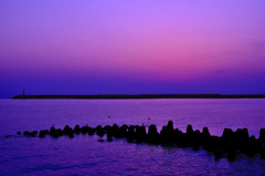 海辺の夕景