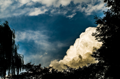 雲　もくもく
