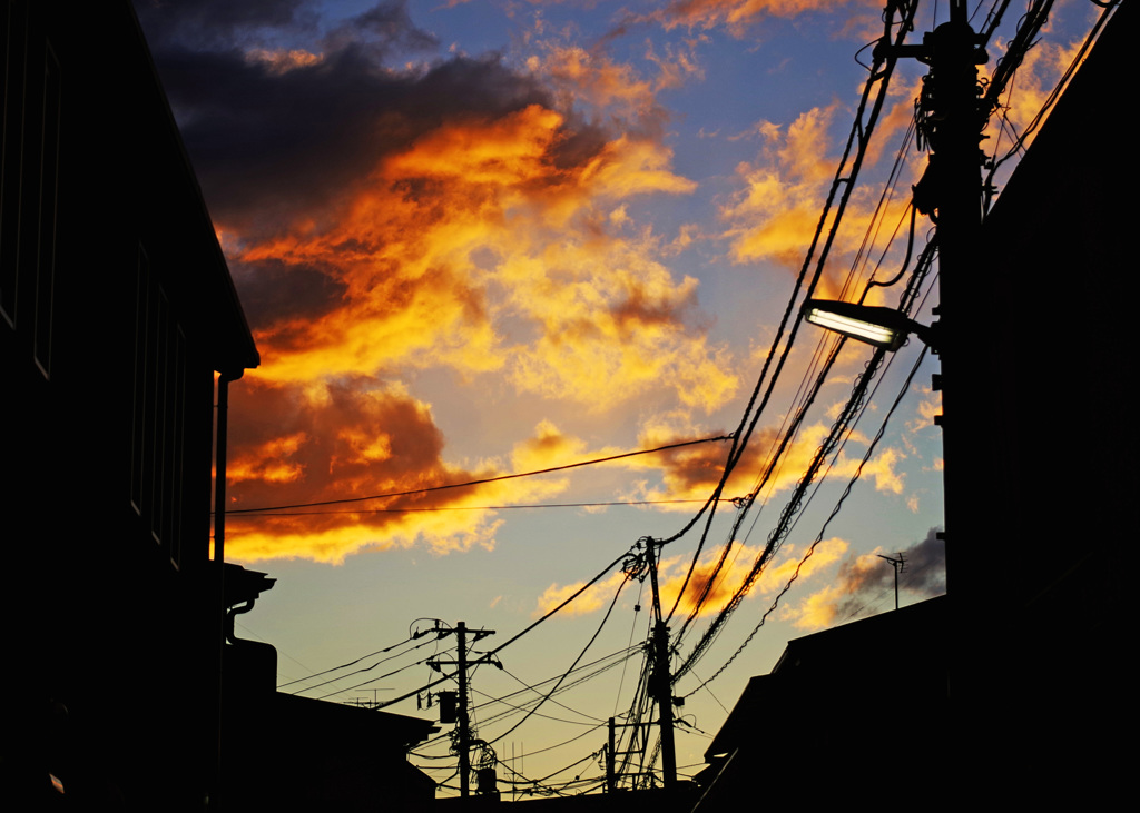 夕飯何でしょ