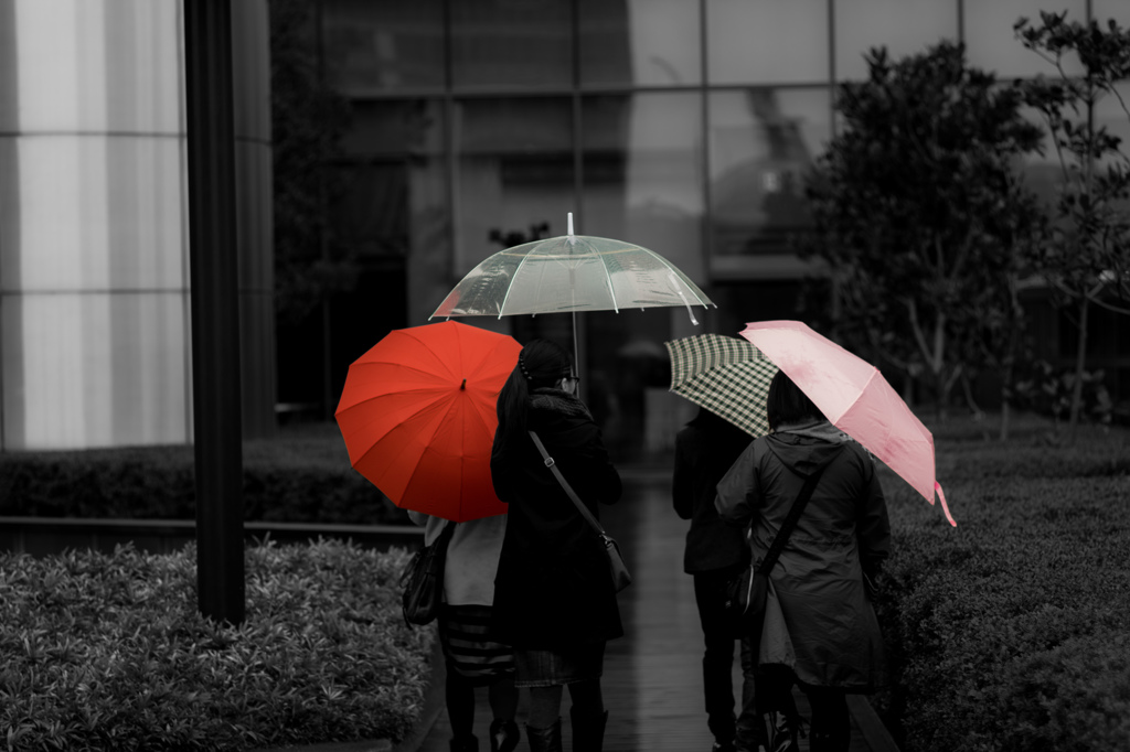 on a  rainy day