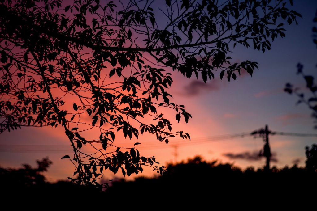ある日の夕焼け１