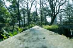 一本道