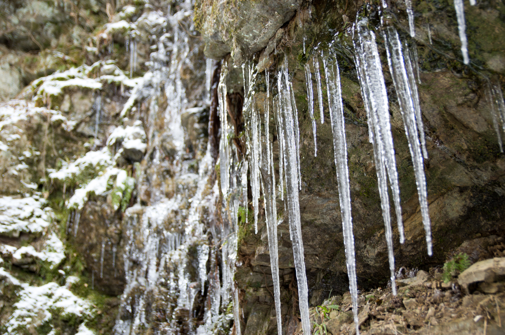 ICICLES