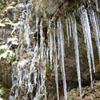 ICICLES