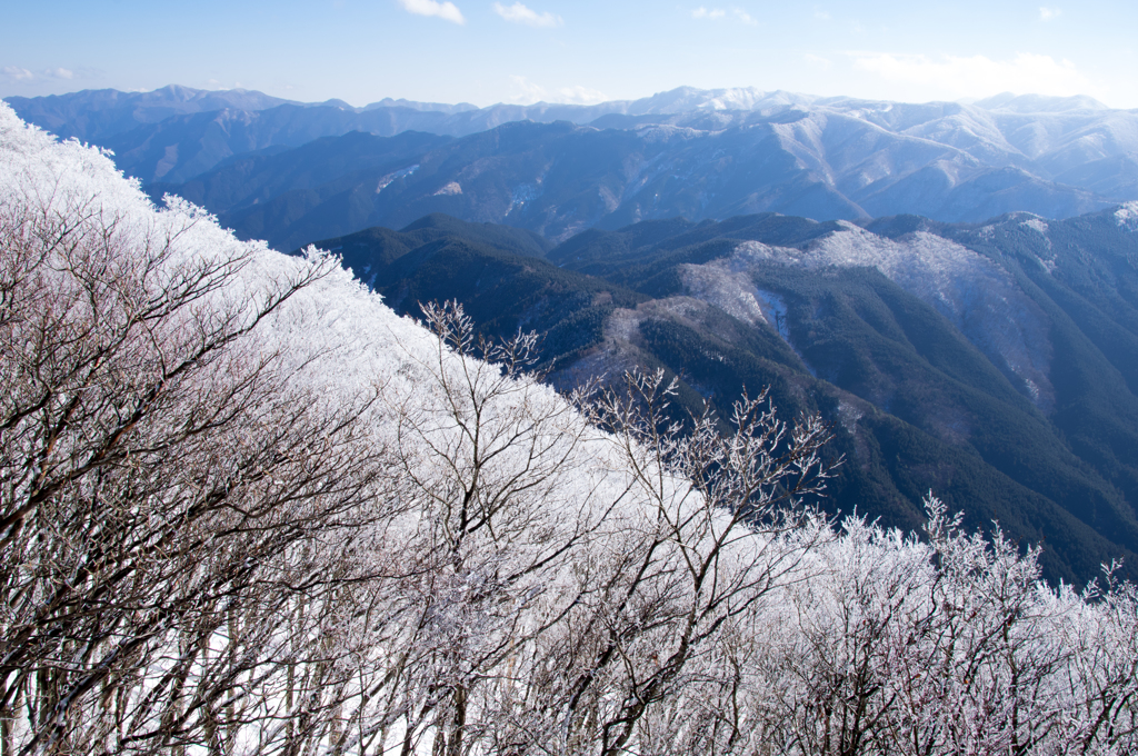 遠くもまた霧氷