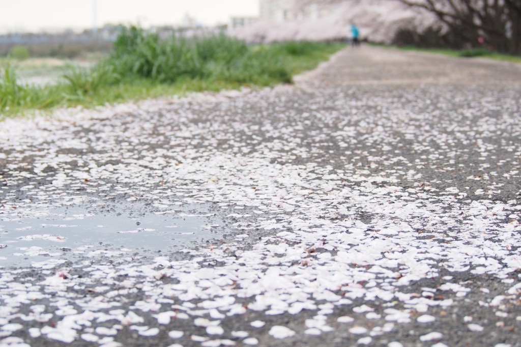 雨上がり