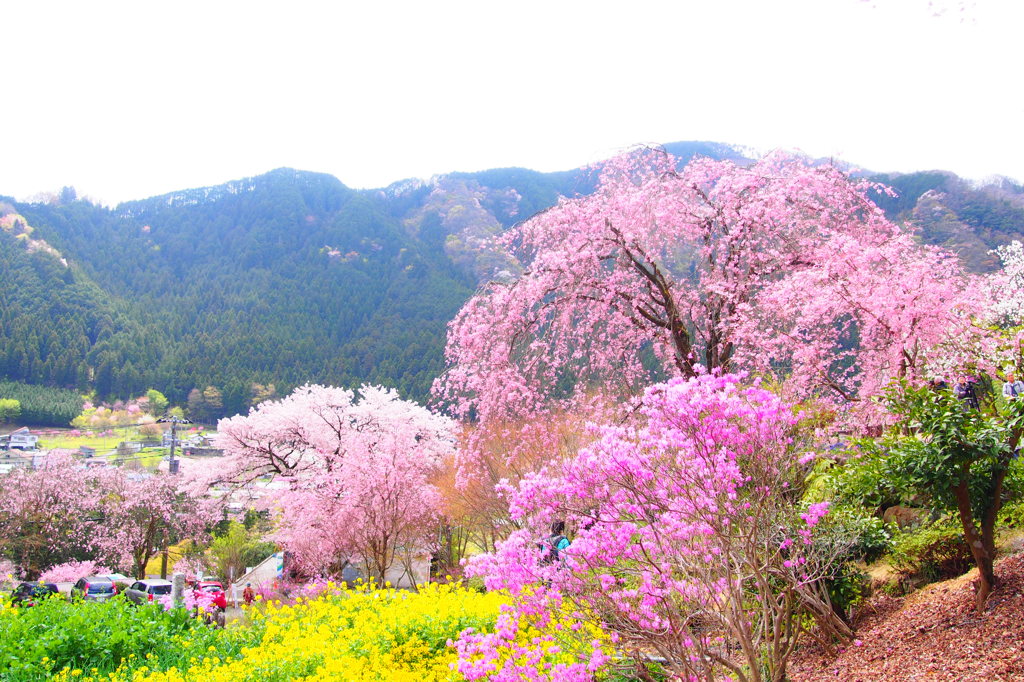 里山