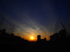 夕日