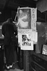 44-化身