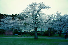 41-寂