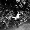 43-bicycle