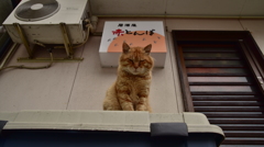 81-何みてんじゃい