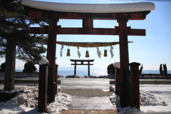 鳥居の向こうに鳥居があるよ。
