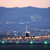 黄昏空へ飛び立つ