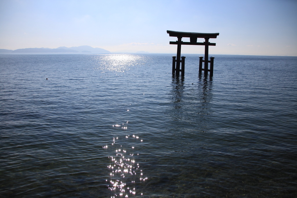 キラキラと鳥居。