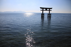キラキラと鳥居。