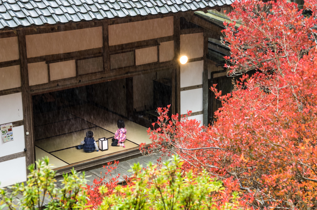 ちびっ子撮影会