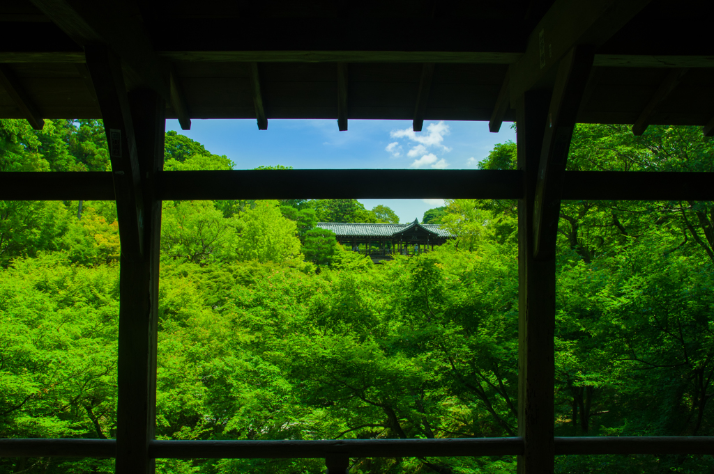 臥雲橋より