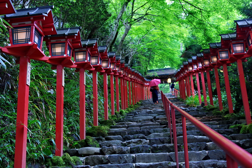 新緑の貴船神社