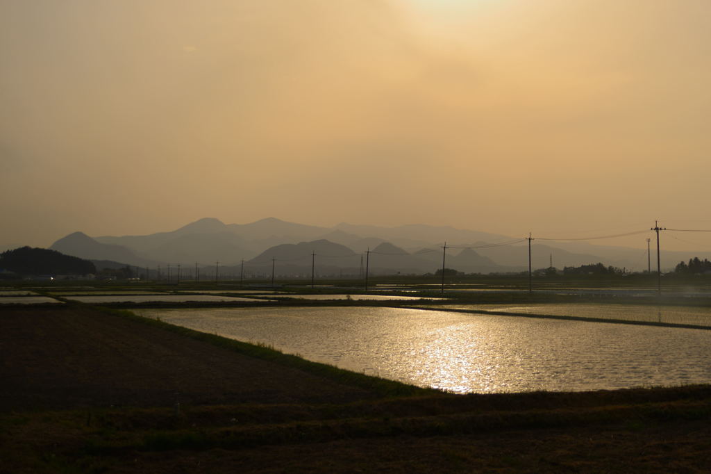 田