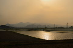 田