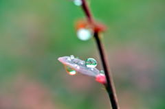 雨上がり2