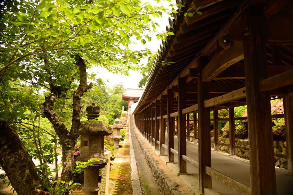 吉備津神社 回廊