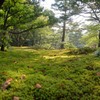兼六園　コケ